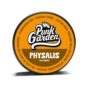 Physalis Gyllenbär