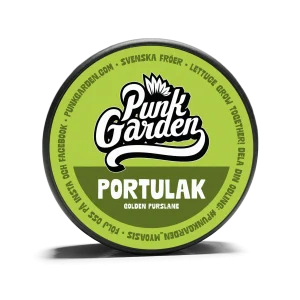 Sallat Portulak