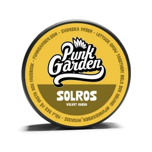 Solros Velvet Queen