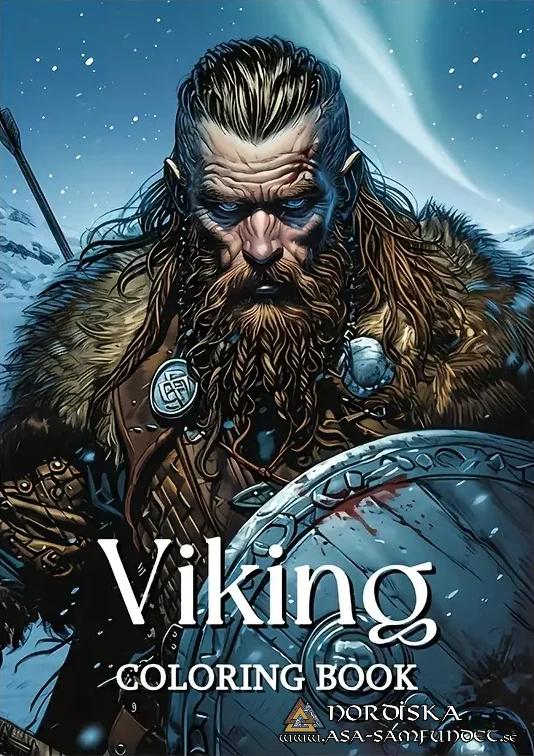 Deluxe Viking Målarbok för Barn och Ungdomar
